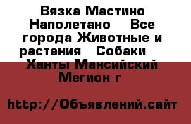 Вязка Мастино Наполетано  - Все города Животные и растения » Собаки   . Ханты-Мансийский,Мегион г.